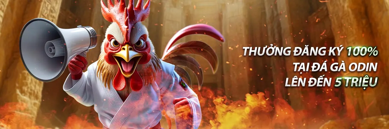 Trực tiếp đá gà C3 hôm nay - Nền tảng cá cược hàng đầu